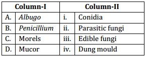 Biological Classification – NEET-1878