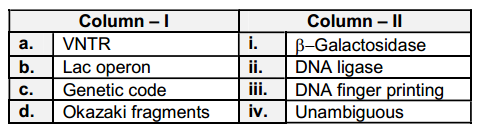 Molecular Basis Of Inheritance – NEET-13386