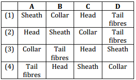 Biological Classification – NEET-1554