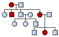 Principles Of Inheritance And Variation – NEET-4919
