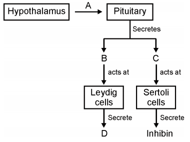 Human Reproduction – NEET-9573