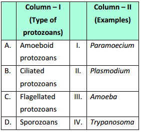 Biological Classification – NEET-1537