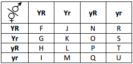 Principles Of Inheritance And Variation – NEET-5023