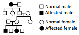 Principles Of Inheritance And Variation – NEET-4799