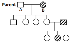 Principles Of Inheritance And Variation – NEET-4792