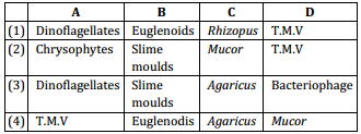 Biological Classification – NEET-1723