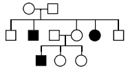 Principles Of Inheritance And Variation – NEET-4800