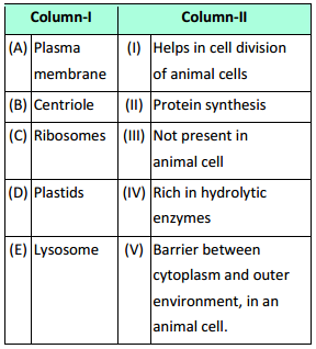 Cell The Unit Of Life – NEET-2681
