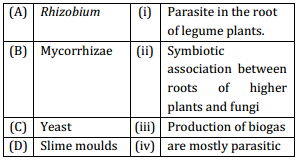 Biological Classification – NEET-1602