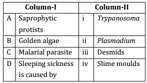 Biological Classification – NEET-1904