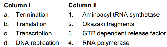 Molecular Basis Of Inheritance – NEET-13365