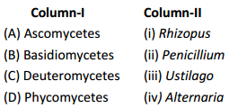 Biological Classification – NEET-1492