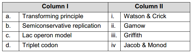Molecular Basis Of Inheritance – NEET-13369