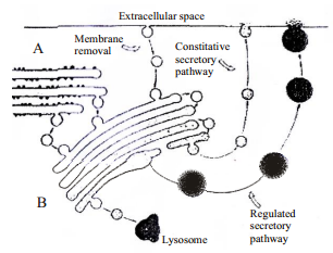 Cell The Unit Of Life – NEET-2877