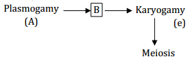 Biological Classification – NEET-1881