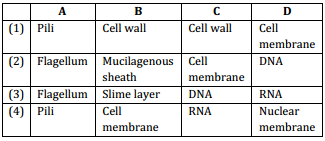 Biological Classification – NEET-1615