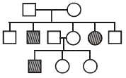 Principles Of Inheritance And Variation – NEET-5065
