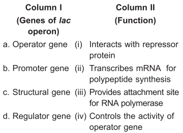 Molecular Basis Of Inheritance – NEET-10030
