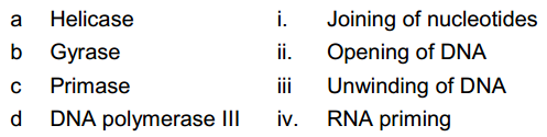 Molecular Basis Of Inheritance – NEET-13336