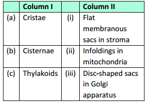 Cell The Unit Of Life – NEET-2558