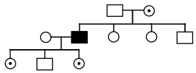 Principles Of Inheritance And Variation – NEET-4789